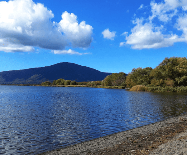 La bellezza naturalistica del Lago di Vico