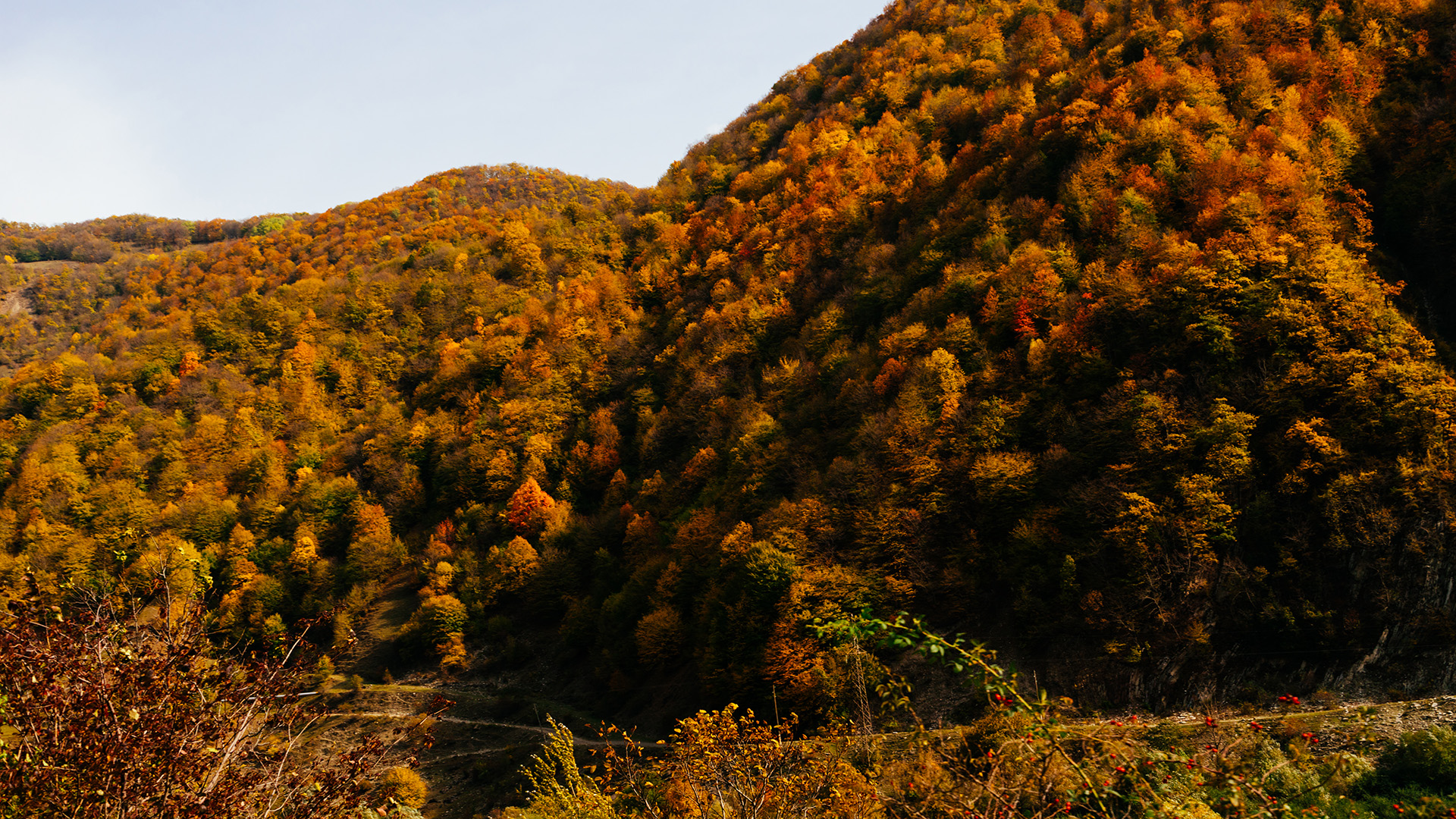 monti cimini e il foliage